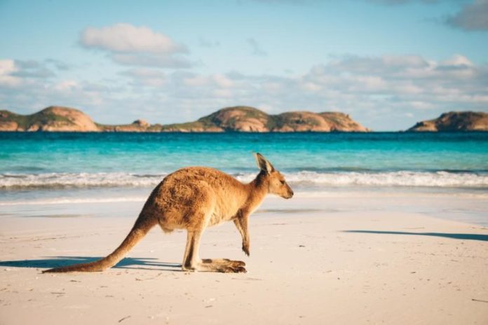 work-travel-australien