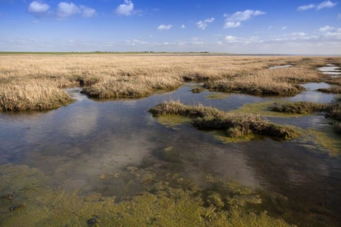 wattenmeer