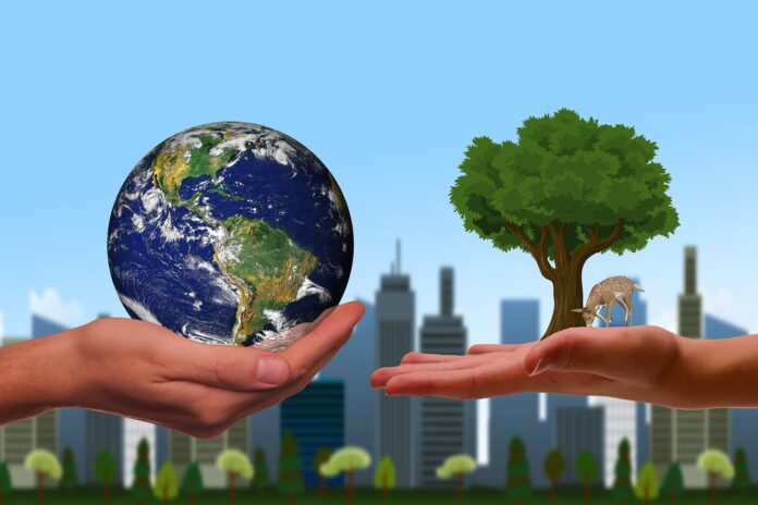 hands, earth, next generation, city, skyline, nature, tree, environment, skyscrapers, buildings, nature conservation, environmental protection, sustainability, community, regenerative, eco system, ecology, sustainability, sustainability, sustainability, sustainability, sustainability